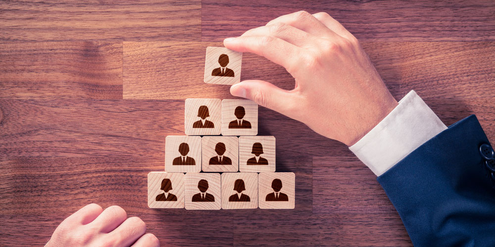 Appointment of Marcus Sellen, CEO Catalyst Education
